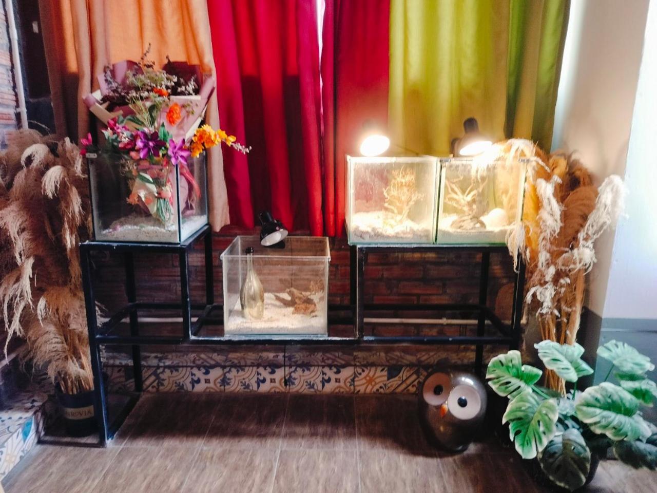 Cozy Fun Homestay 16 Hanoi Eksteriør billede